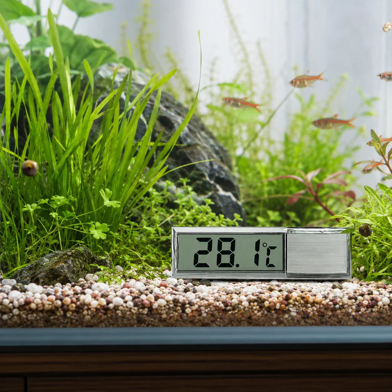 Digital Akvarietermometer – LCD-termometer för Akvarieglas