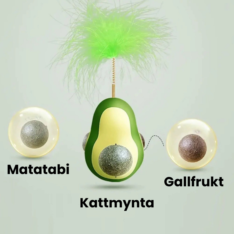 Kattleksak Avokado-Bus