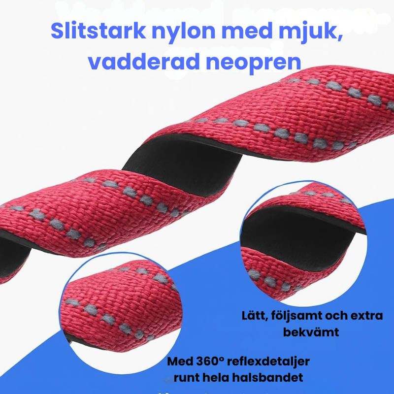 Bekvämt & säkert hundhalsband - perfekt för vardag och äventyr