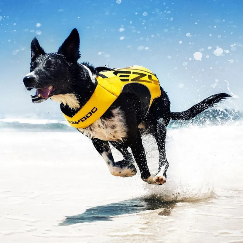 EzyDog X2 Boost flytväst hund – säker och ergonomisk