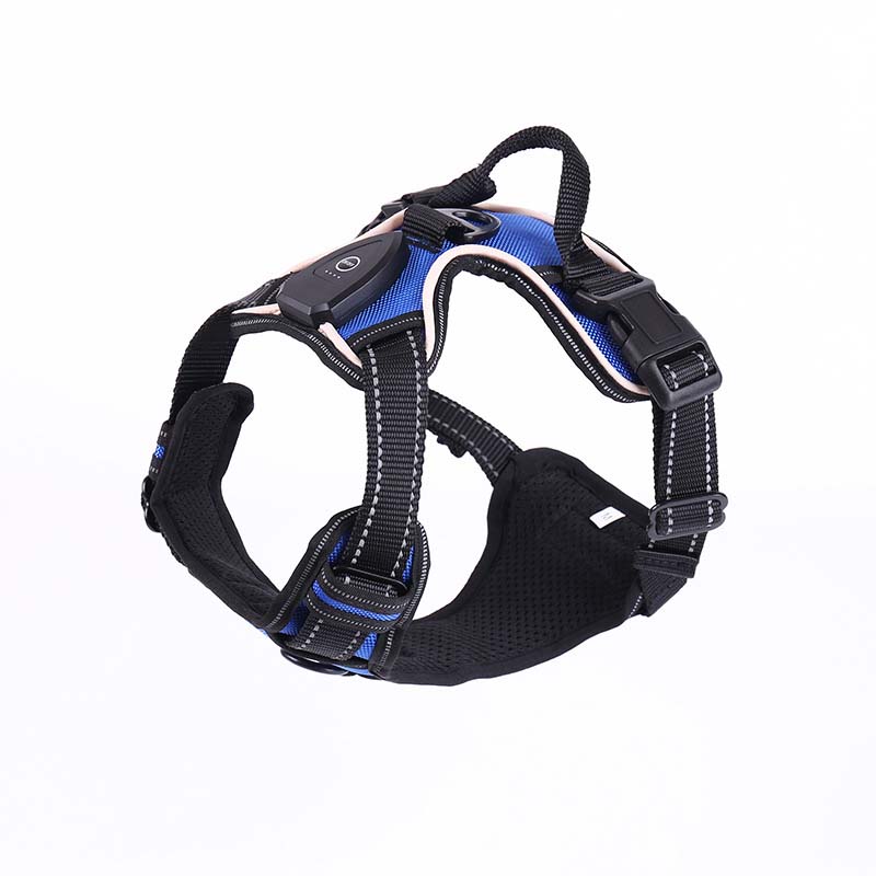 Hundsele med LED-belysning - reflex, laddningsbar & justerbar