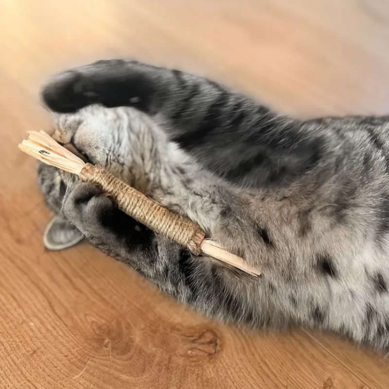 Matatabi kattleksak med fransar