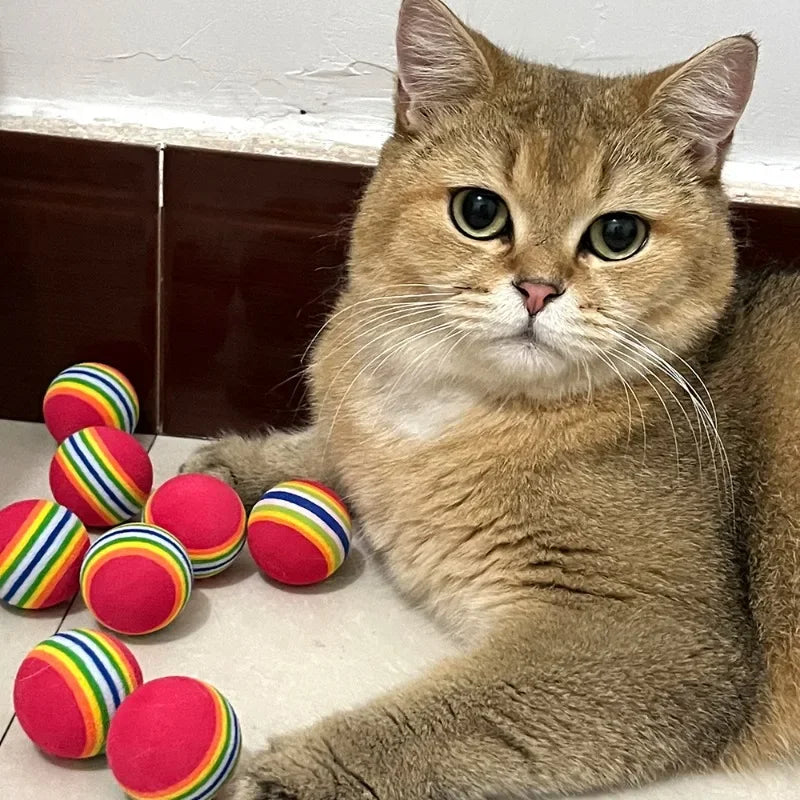 Färgglada leksaksbollar för katt, 5-pack