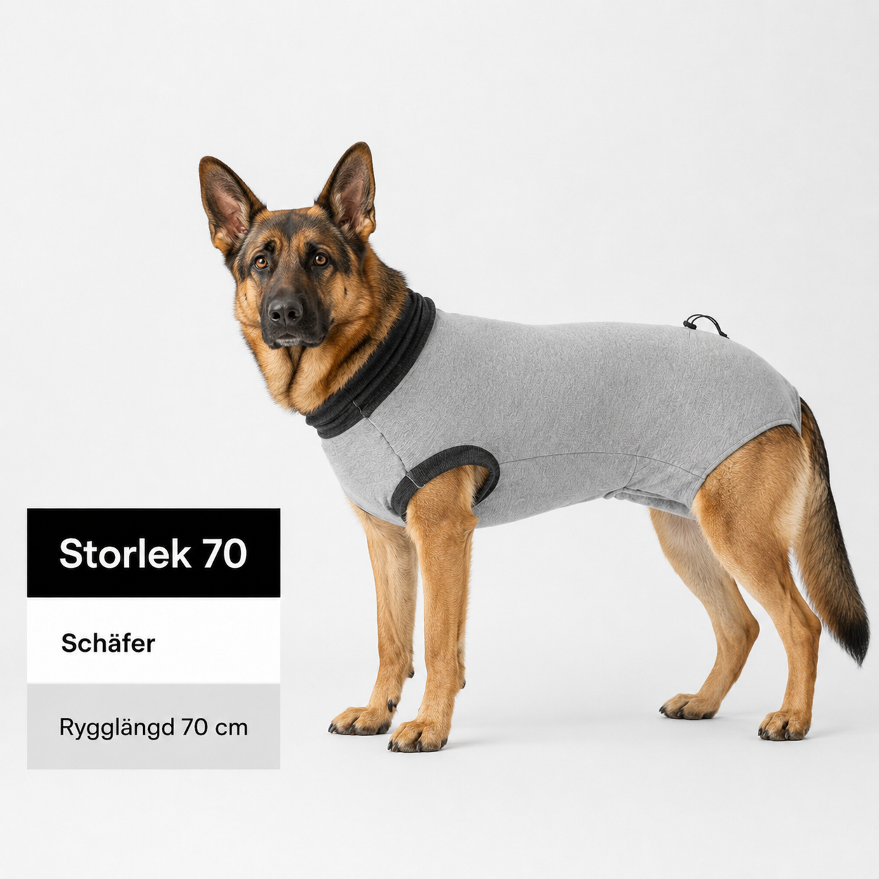 Skyddande Body för hund – efter operation