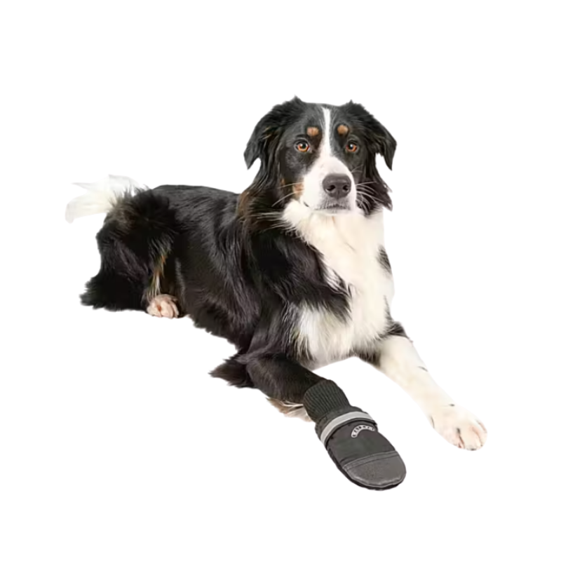 Walker Professional Hundsko - 2-pack