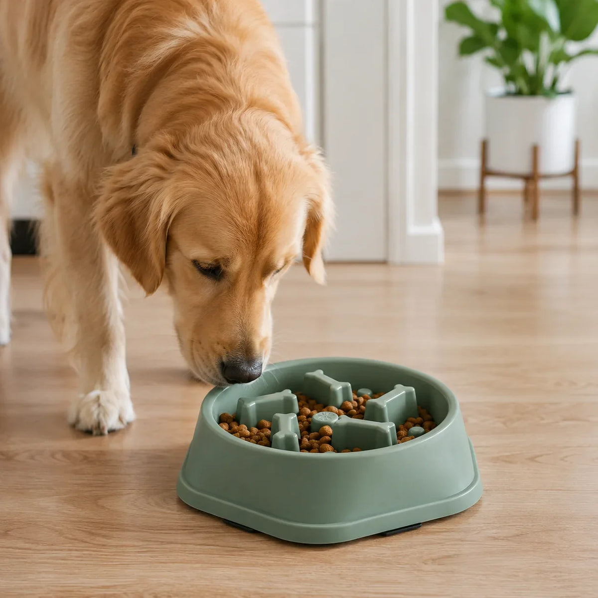 Slow Feeder Hundskål – Matskål för Långsamt Ätande