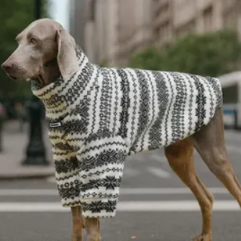 Värmande Hunddress för Större Raser