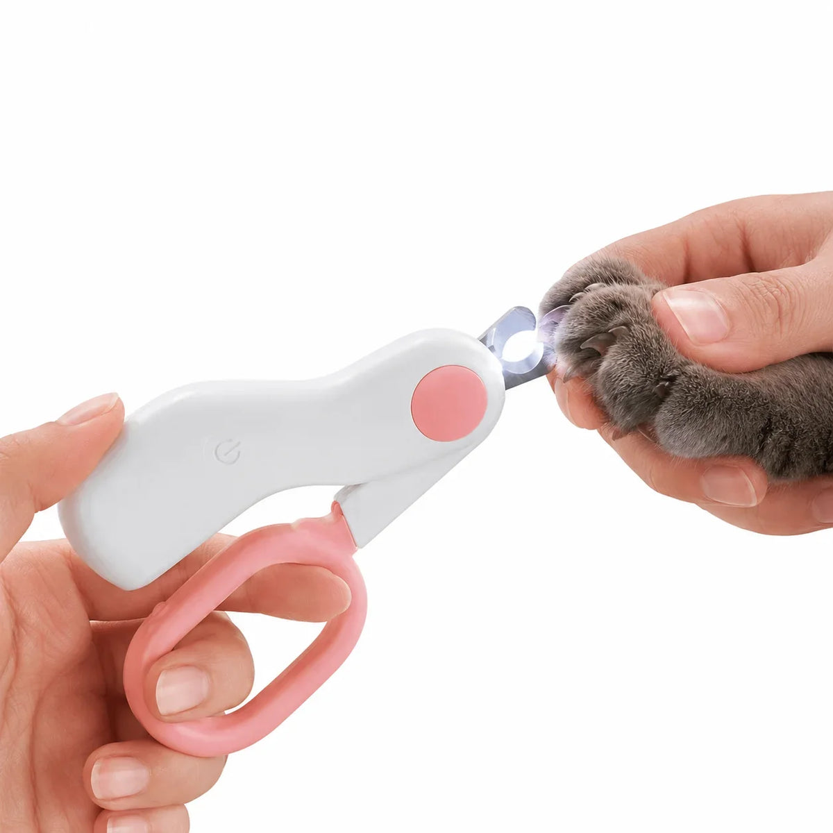 Klosax med LED-ljus för Hund och Katt