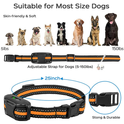 3300Ft Elektrisk Hundträningshalsband