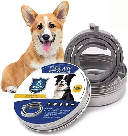 Fästing- och loppskydd halsband för hund – trygghet och komfort året runt