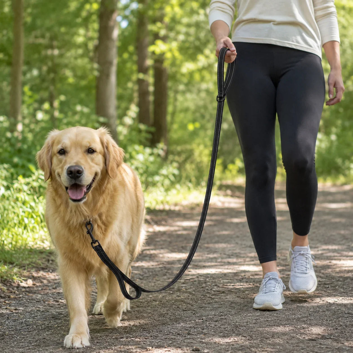 Hundkoppel med Kontrollhandtag – Vadderat Koppel för Bättre Kontroll