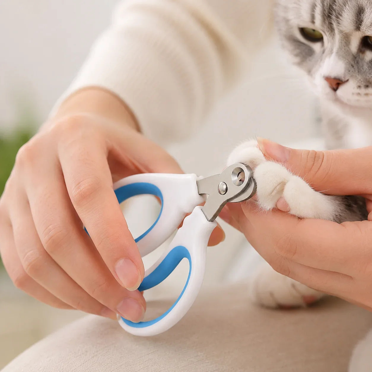 Klotång för katt, små hundar och smådjur