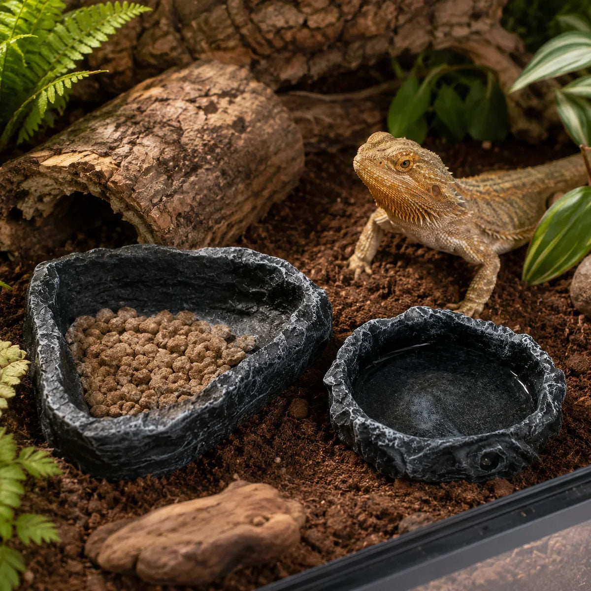 Reptilskål i Stenlook – Mat- och Vattenskål för Terrarium