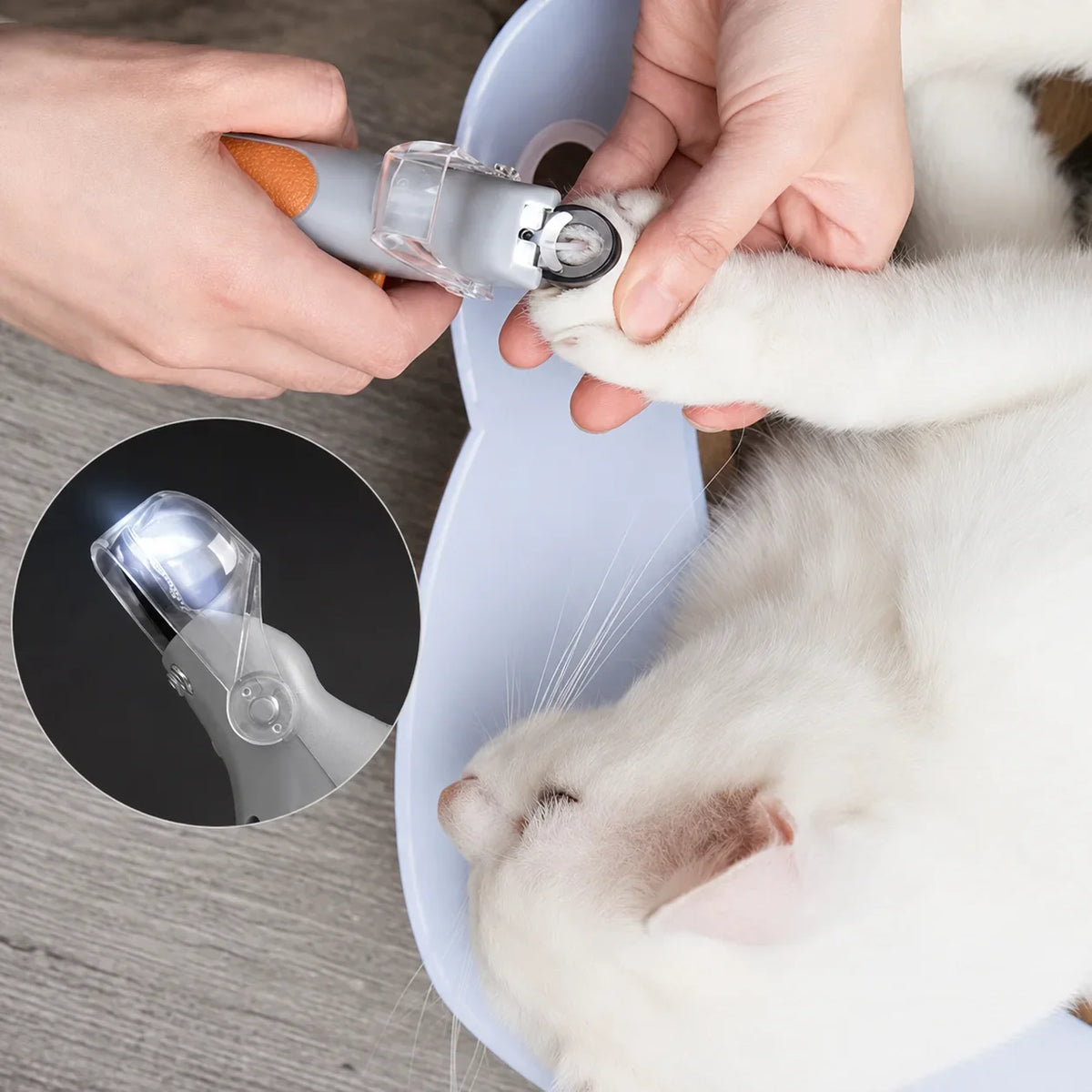 Klotång med LED-ljus för Hund och Katt