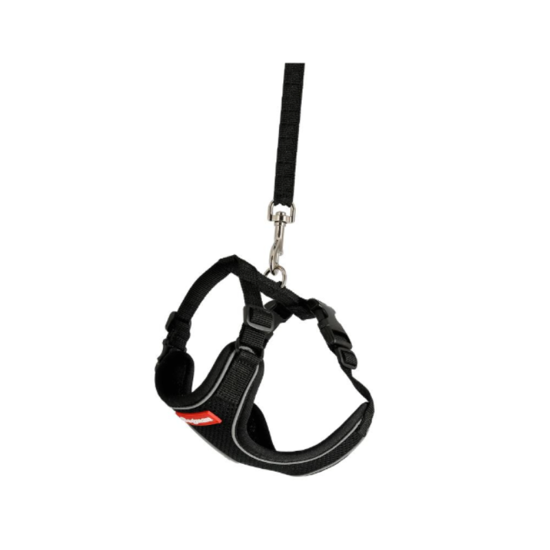 Air Mesh Set för Katt
