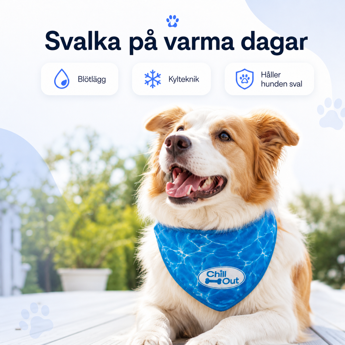 Chill Out Ice Bandana svalkande kylbandana till hund