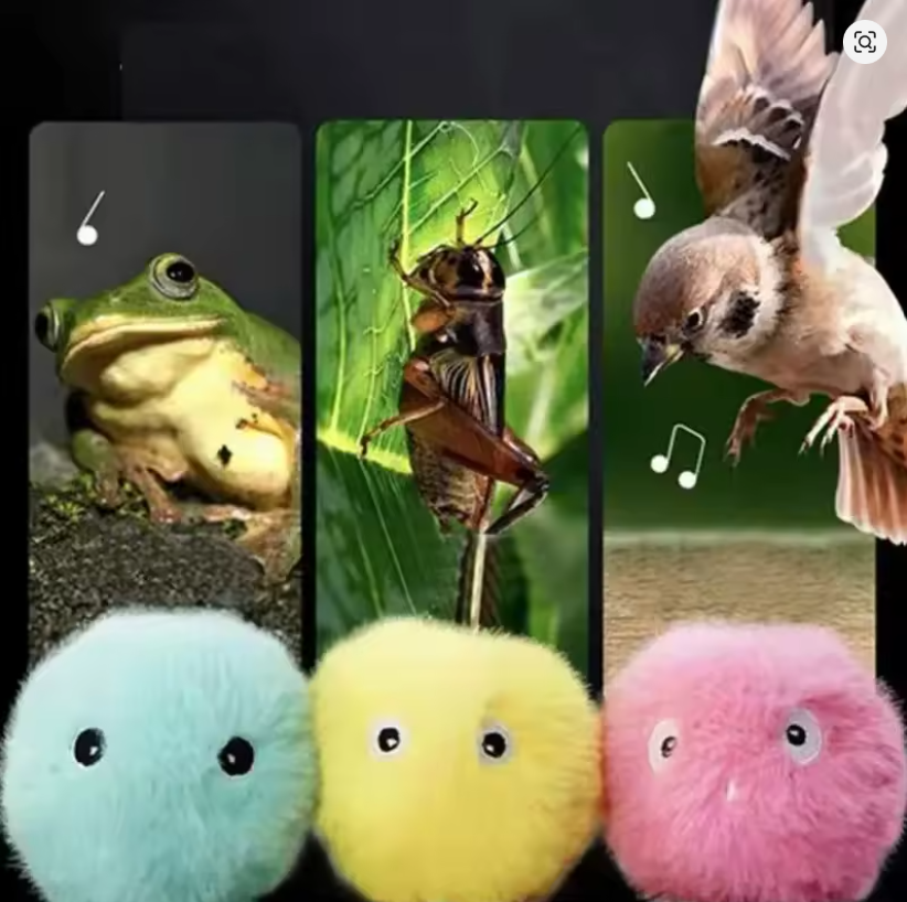 Fluffiga & Ljudande Kattbollar