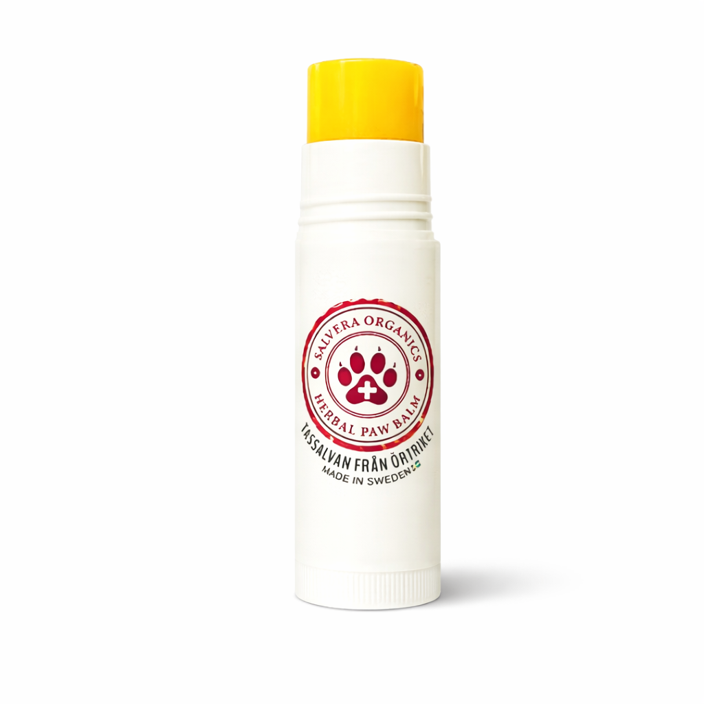 Salvera Tassalva Easy Apply 17 ml – tassvård i stift