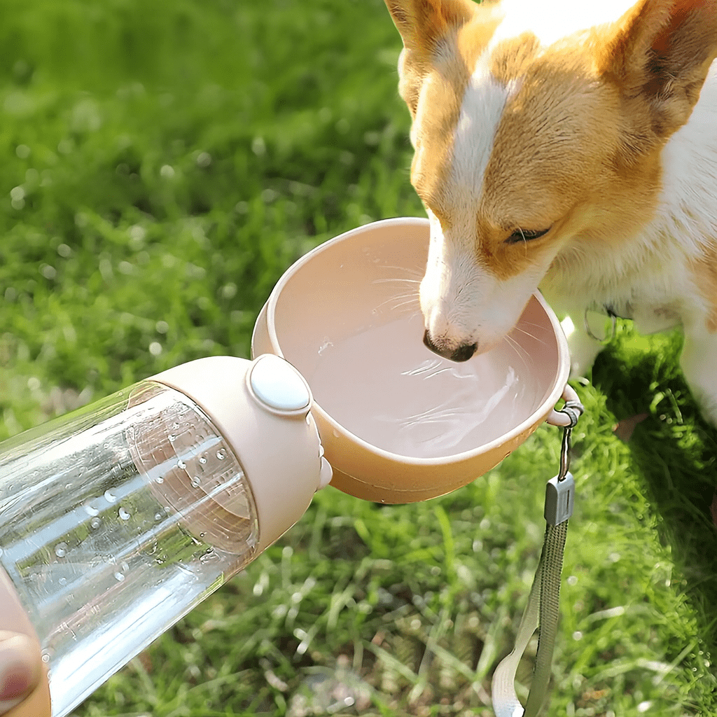 Portabel Vattenflaska för Hund
