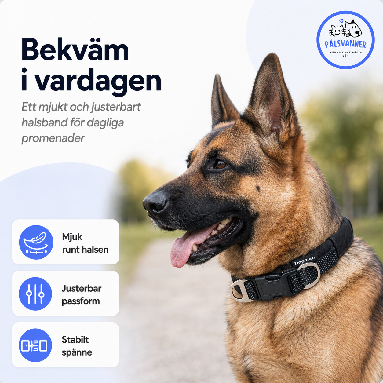 Fodrat halsband Emmi justerbart hundhalsband