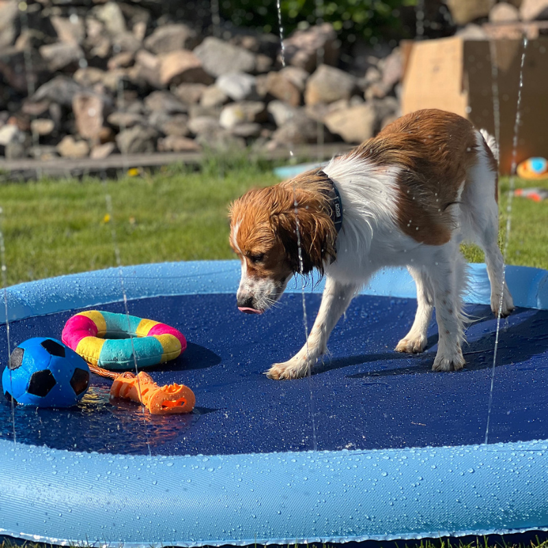 Vattenplaskmatta 150 cm för hundar med sprinklers
