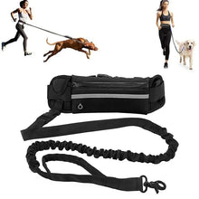 Handsfree hundkoppel - löpning & promenader