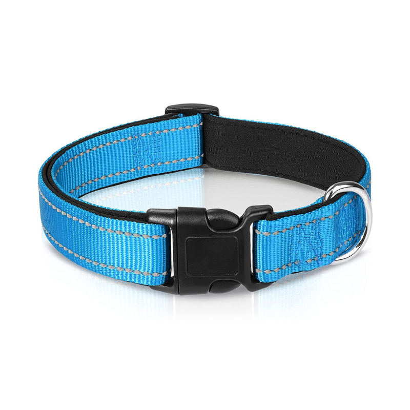 Bekvämt & säkert hundhalsband - perfekt för vardag och äventyr