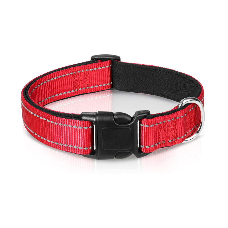 Bekvämt & säkert hundhalsband - perfekt för vardag och äventyr