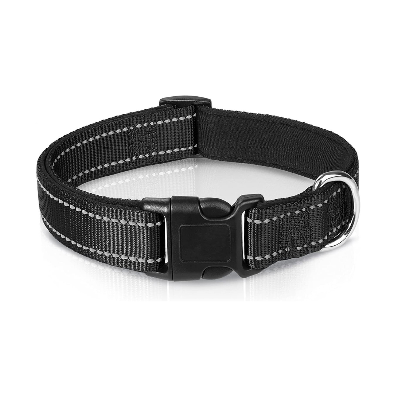 Bekvämt & säkert hundhalsband - perfekt för vardag och äventyr