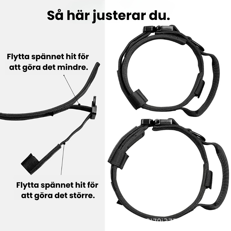 Starka och Säkra Hundhalsband