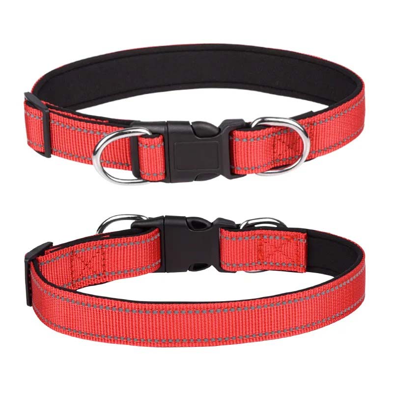 Hundhalsband i nylon med reflex – säkerhet i mörker