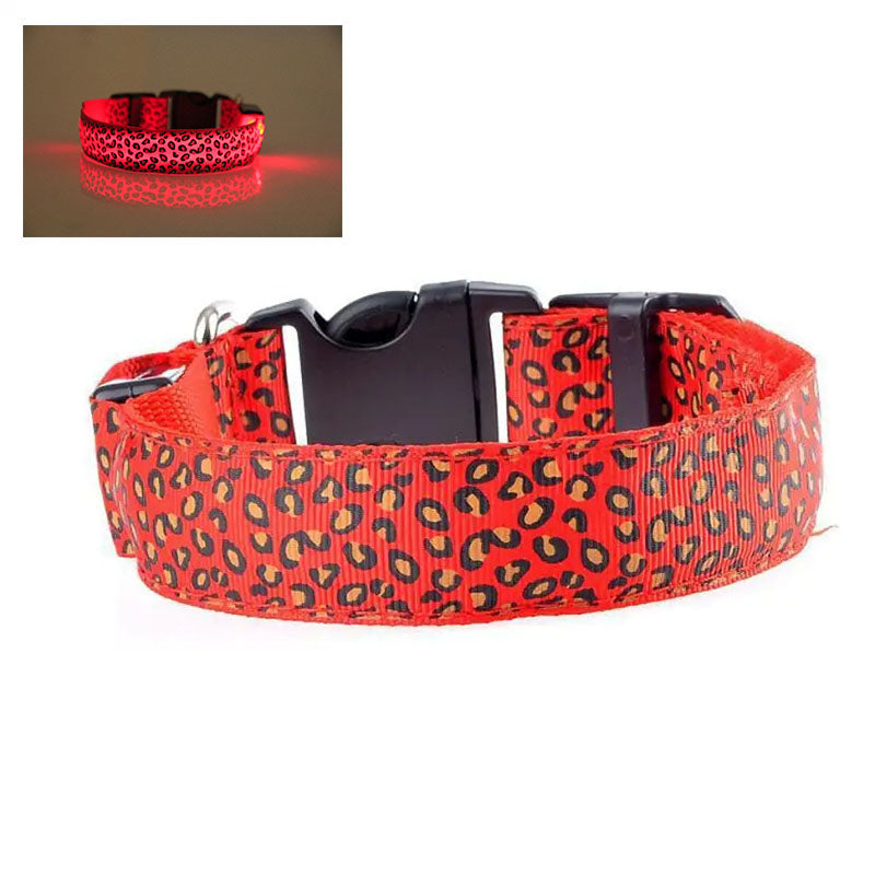 Hundhalsband med LED - flera ljuslägen