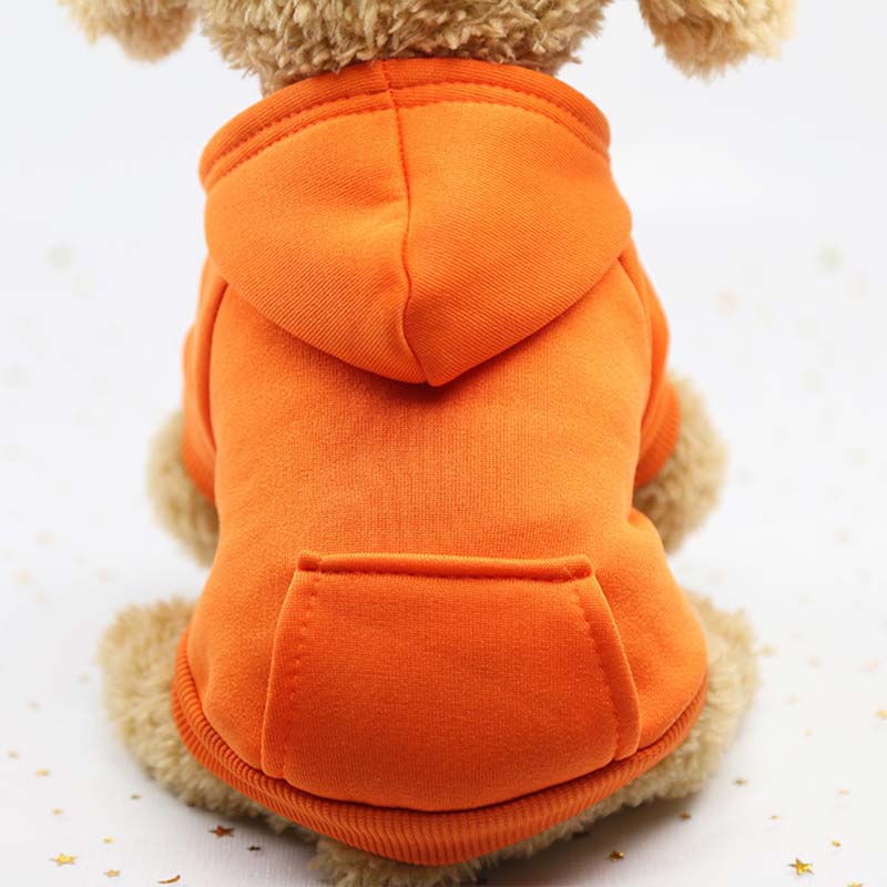 Hundhoodie – varm tröja för små hundar