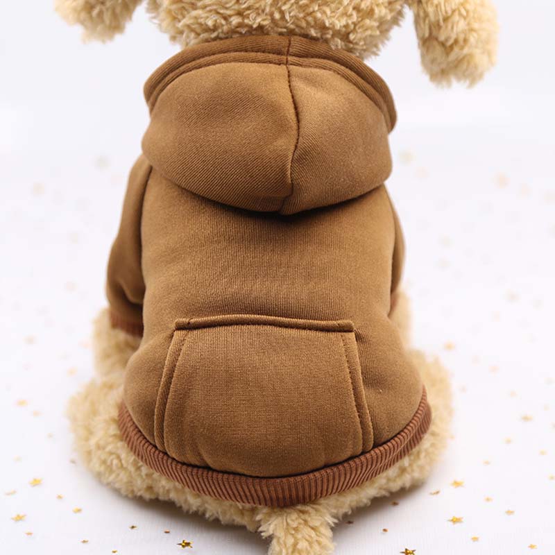 Hundhoodie – varm tröja för små hundar