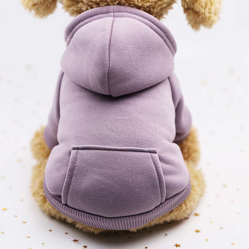 Hundhoodie – varm tröja för små hundar