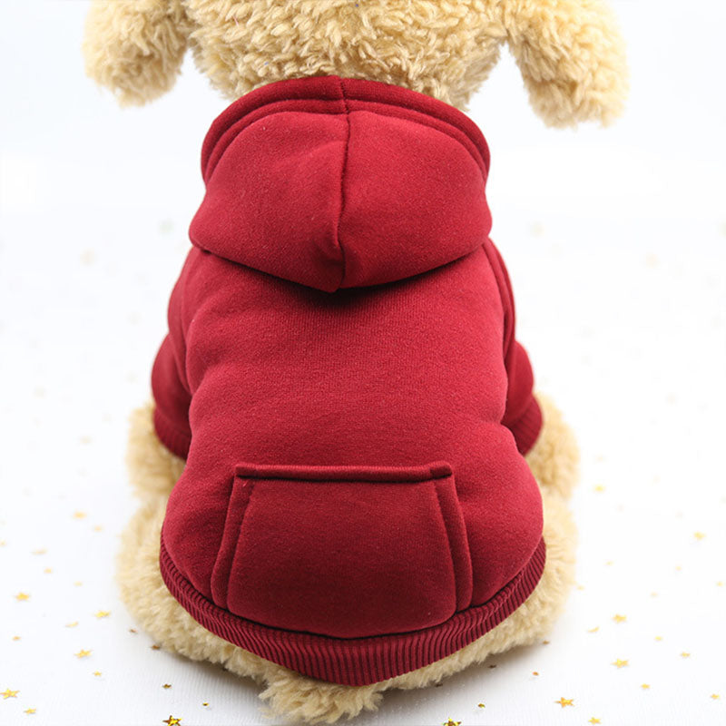 Hundhoodie – varm tröja för små hundar