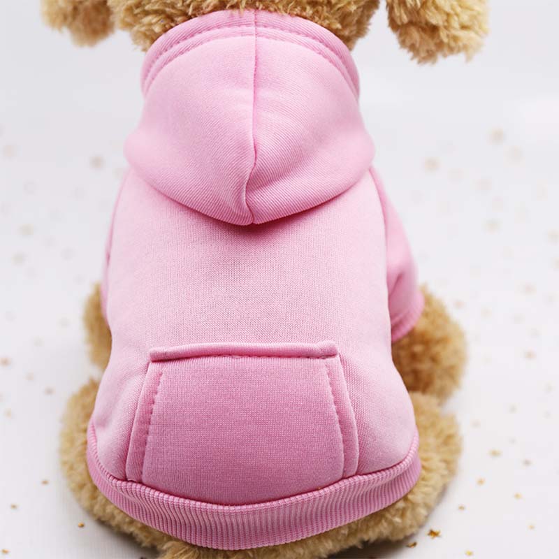Hundhoodie – varm tröja för små hundar