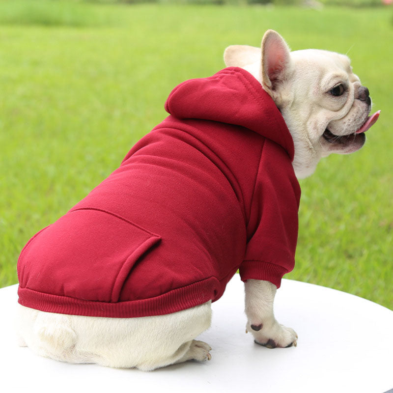 Hundhoodie – varm tröja för små hundar
