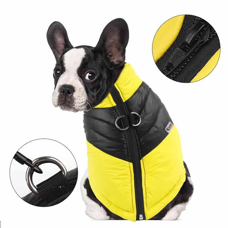 Hundjacka vinter – reflex, fodrad & vattenavvisande