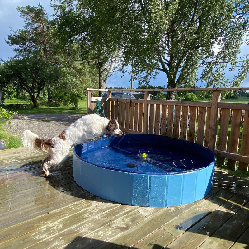 Hundpool 120x30 cm i slitstark PVC
