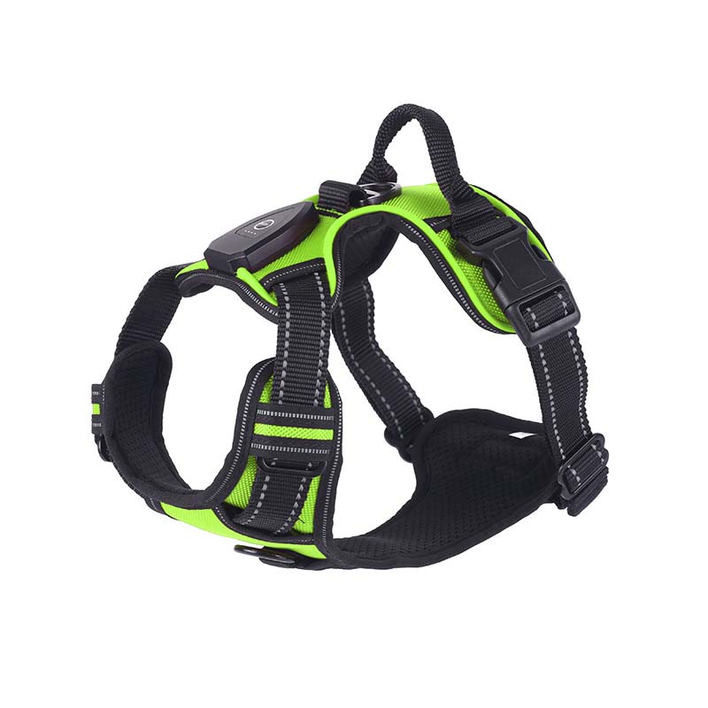 Hundsele med LED-belysning - reflex, laddningsbar & justerbar