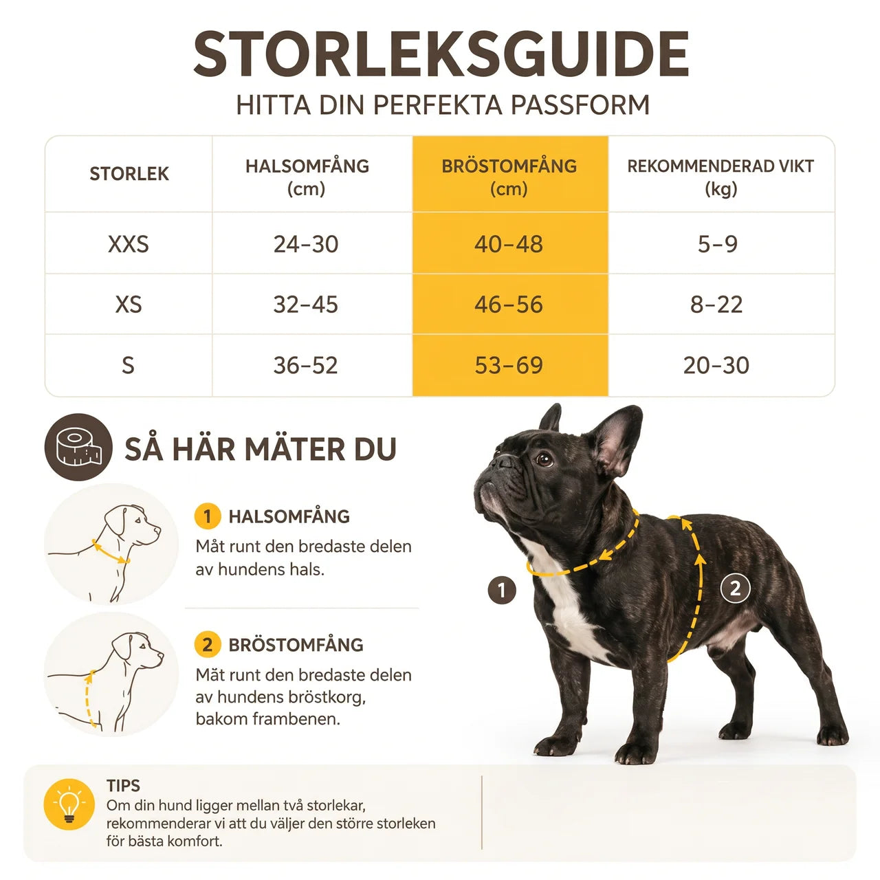 Hundsele med Utdragbart Koppel & Anti-Ryck