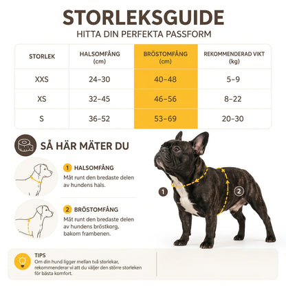 Hundsele med Utdragbart Koppel & Anti-Ryck