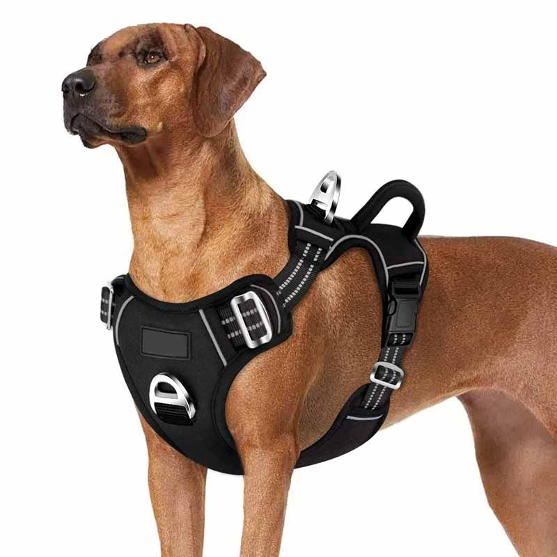 Hundsele med anti-drag funktion – justerbar & reflex