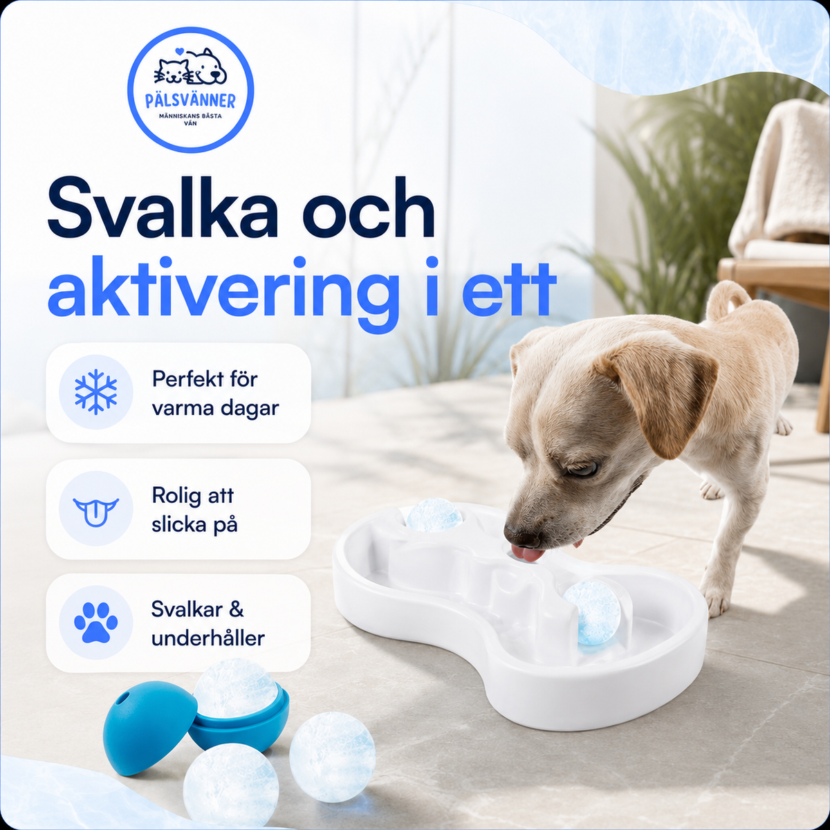 Chill Out Ice Track vattenskål med isbollar till hund