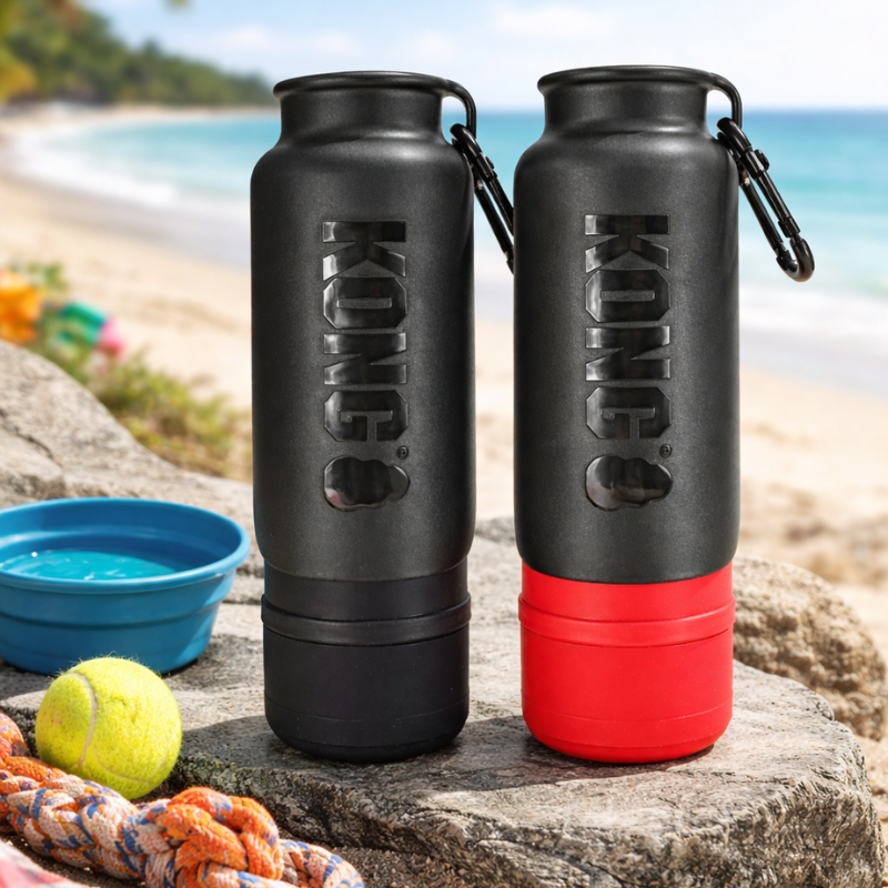 KONG H2O isolerad vattenflaska hund 740 ml rostfri
