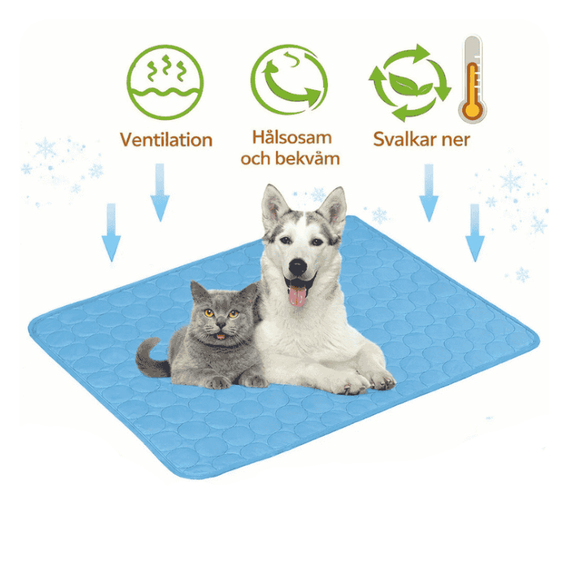 Kyldyna för hund och katt med svalkande effekt
