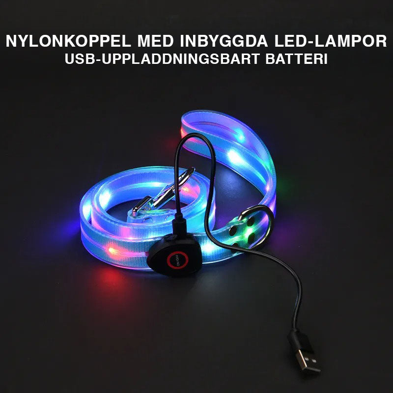 LED-koppel och halsband – synligt i mörker