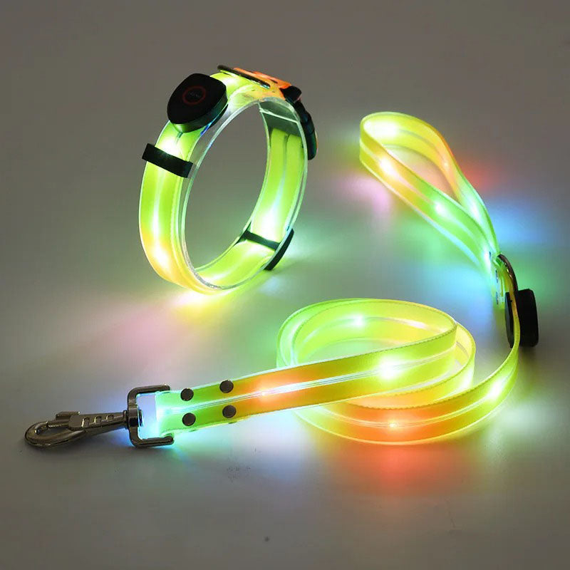 LED-koppel och halsband – synligt i mörker