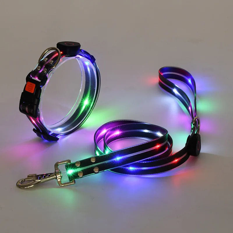 LED-koppel och halsband – synligt i mörker